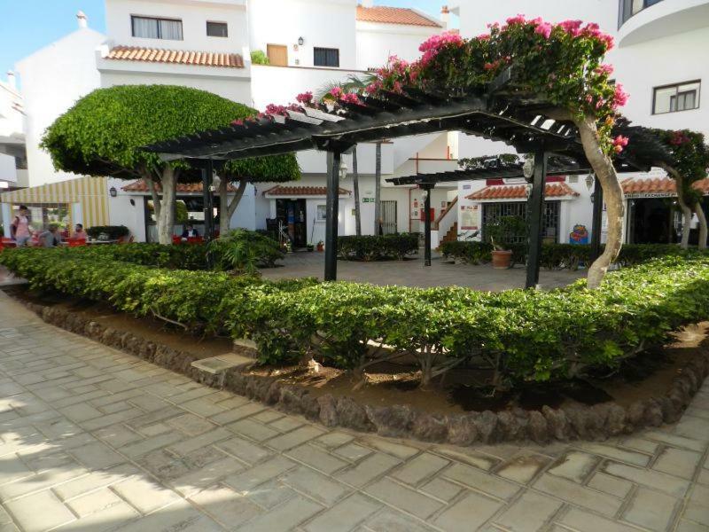 Apartment Cristian Sur Los Cristianos  Exteriér fotografie